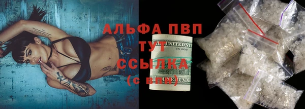 ECSTASY Ельня