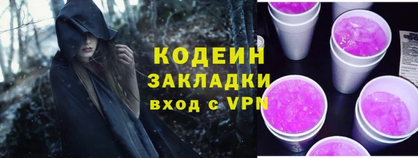 ECSTASY Ельня