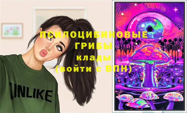 ГАЛЛЮЦИНОГЕННЫЕ ГРИБЫ Елабуга