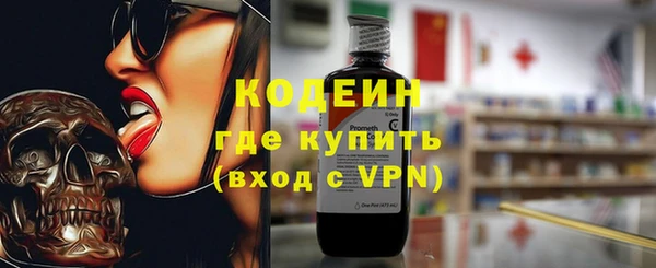 ECSTASY Ельня