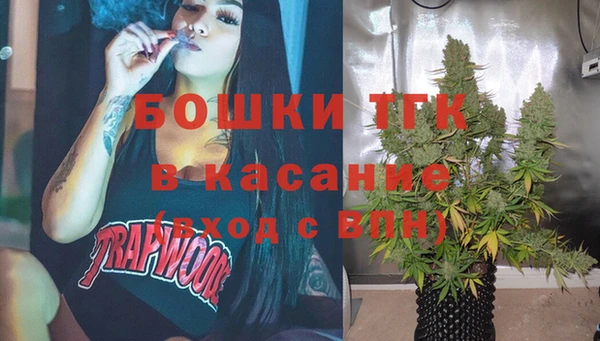 ECSTASY Ельня