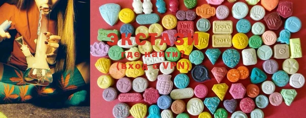 ECSTASY Ельня