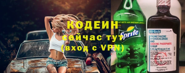 ECSTASY Ельня