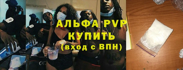 ГАЛЛЮЦИНОГЕННЫЕ ГРИБЫ Елабуга