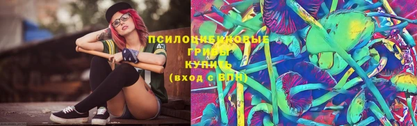 ГАЛЛЮЦИНОГЕННЫЕ ГРИБЫ Елабуга