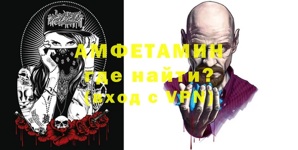 ECSTASY Ельня