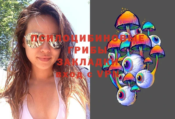 ECSTASY Ельня