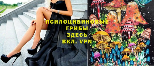 ECSTASY Ельня
