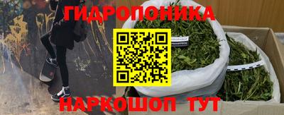 СК Бузулук