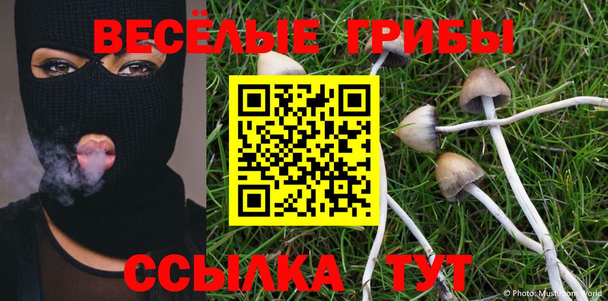 Псилоцибиновые грибы GOLDEN TEACHER Выкса