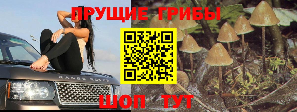 Галлюциногенные грибы Magic Shrooms  где можно купить наркотик  Выкса 