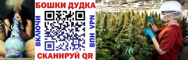 Канабис SATIVA & INDICA  продажа наркотиков  Выкса 